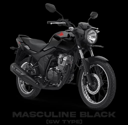 MASCULINE BLACK SW