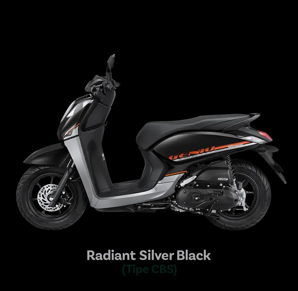 RADIANT SILVER BLACK