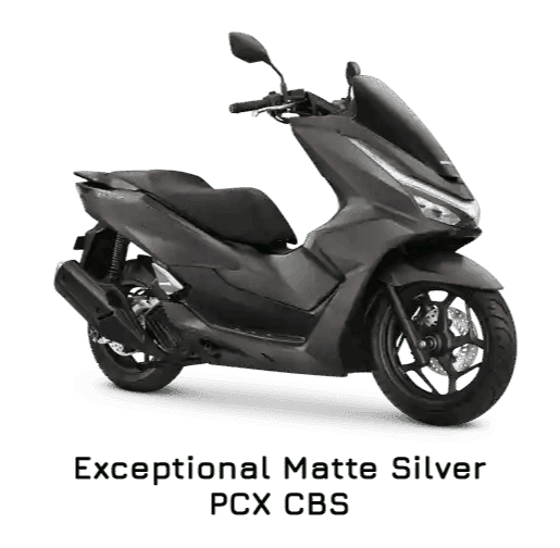 EXECPTIONAL MATTE SILVER CBS